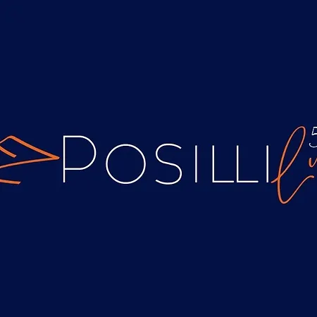 Guest house Posillilux *